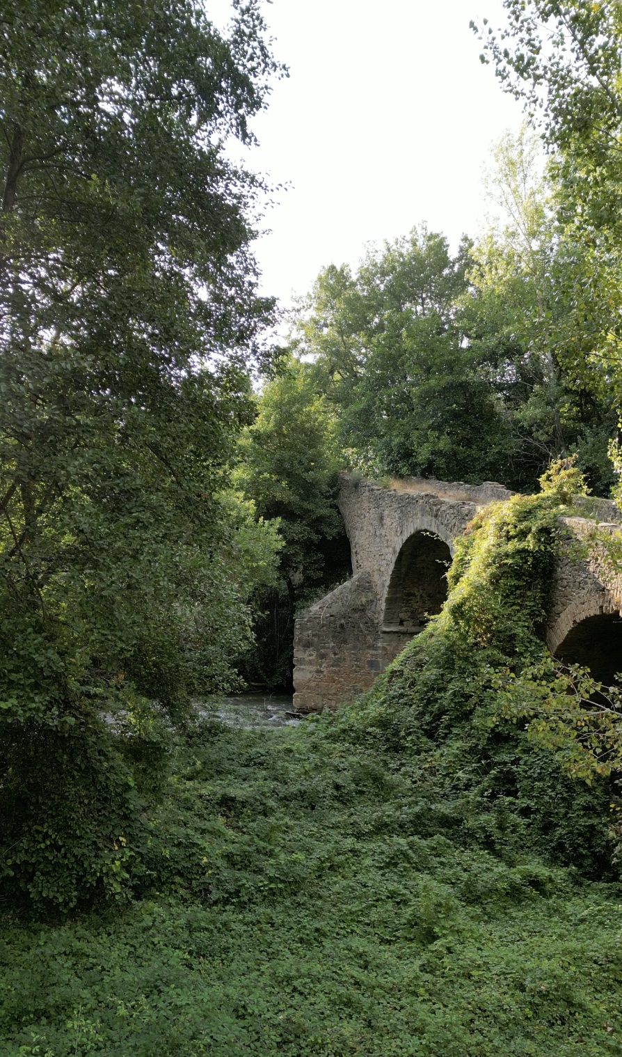 Puente y entorno natural cerca de Cardona